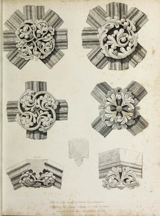 encyclopaediaofo00shaw_0027 (519x700, 358Kb)