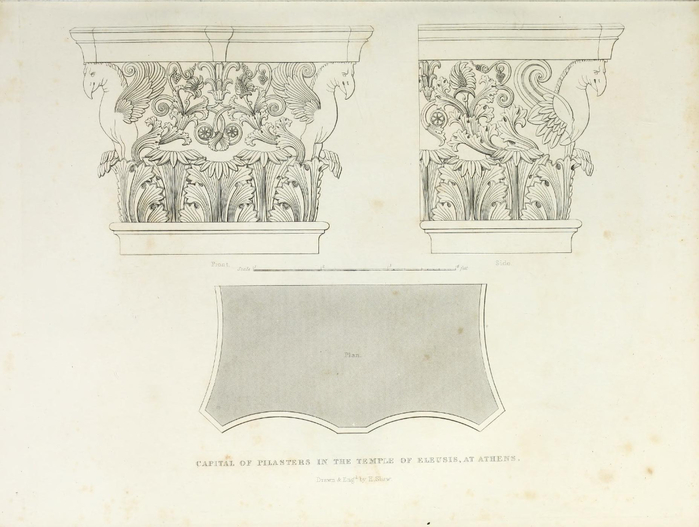 encyclopaediaofo00shaw_0029 (700x527, 236Kb)