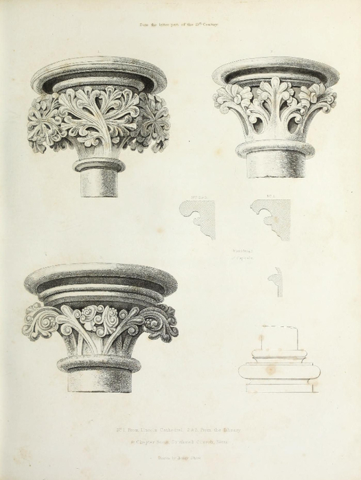 encyclopaediaofo00shaw_0033 (526x700, 240Kb)