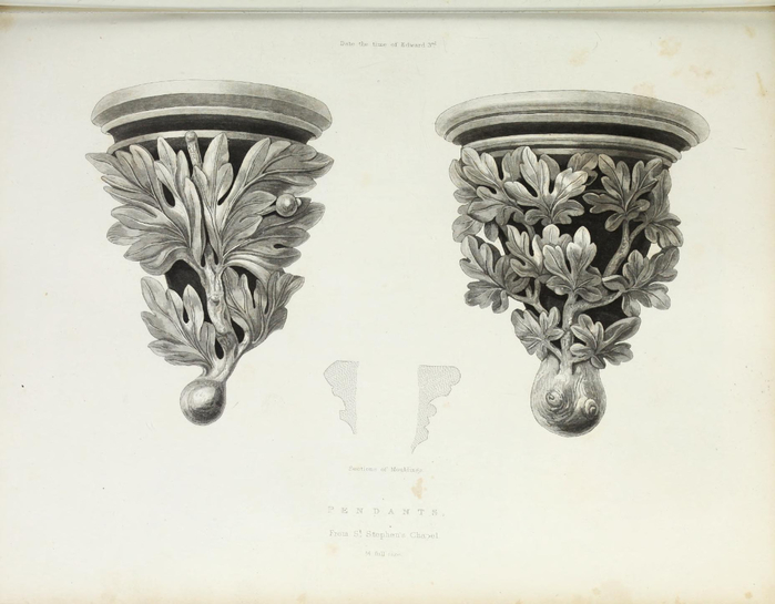 encyclopaediaofo00shaw_0097 (700x545, 224Kb)
