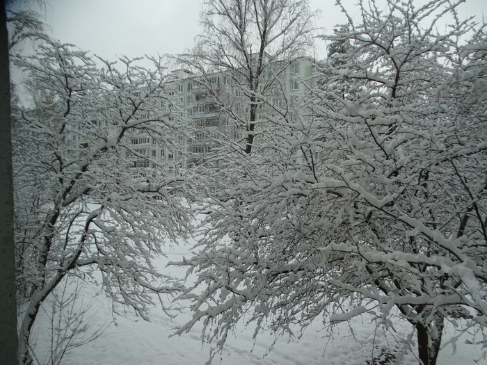 DSC00098 (700x525, 445Kb)