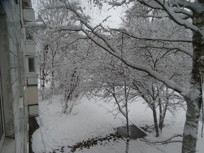 DSC00102 (700x525, 410Kb)