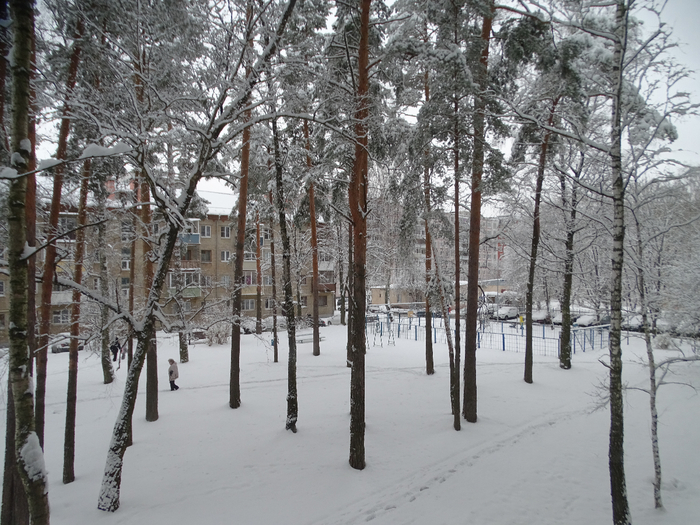 DSC00104 (700x525, 452Kb)