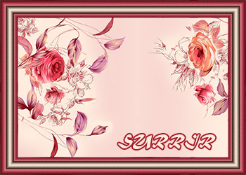 4674007_15_Roza__simvol_sovershenstva (350x250, 89Kb)