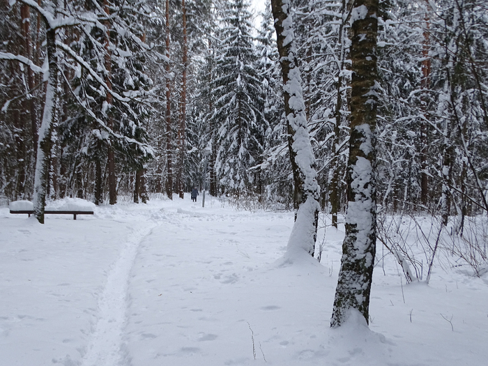 DSC00115 (700x525, 470Kb)
