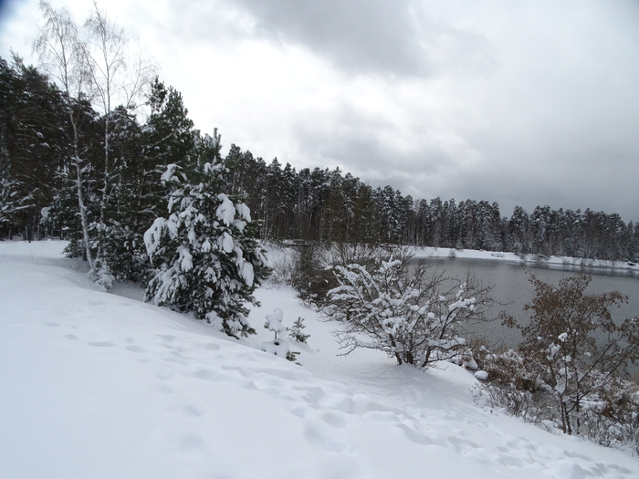 DSC00182 (700x525, 334Kb)