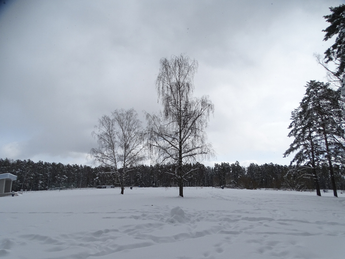 DSC00191 (700x525, 292Kb)