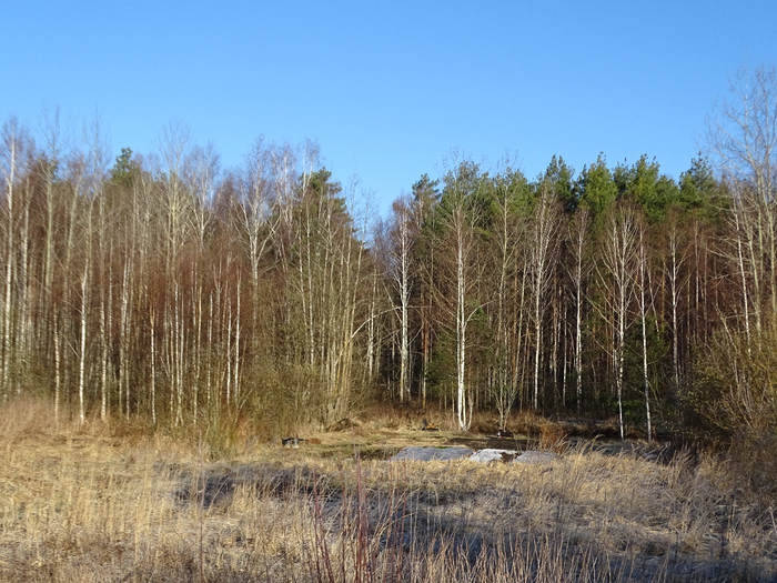 DSC00202 (700x525, 478Kb)