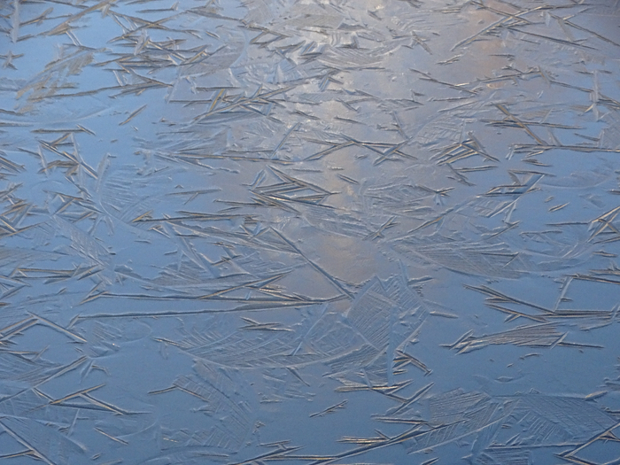 DSC00214 (700x525, 416Kb)