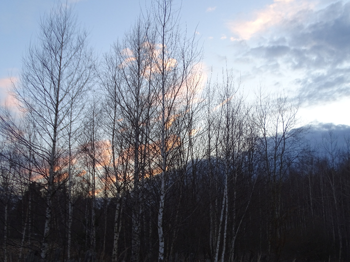 DSC00240 (700x525, 423Kb)