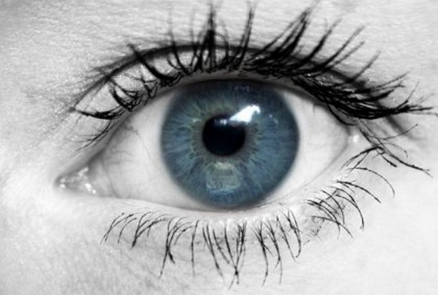 4743317_1142679160_09_eyes_81776 (640x431, 45Kb)
