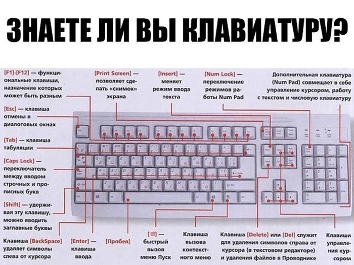 4674007_znaete_li_vi_klaviatyry (700x525, 276Kb)