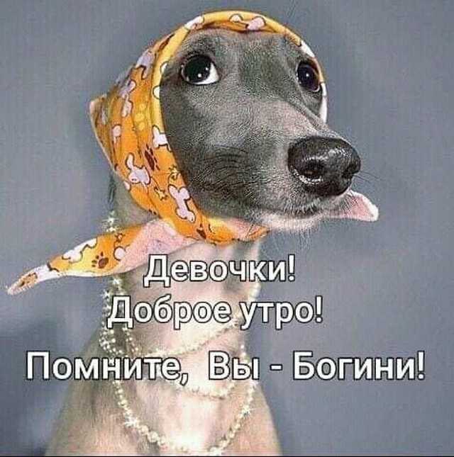 4743317_image20211030_10_17_03 (640x645, 112Kb)