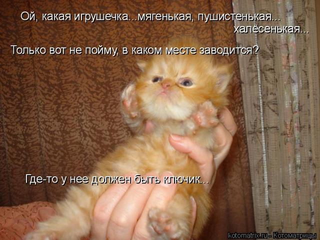 4743317_IL (640x480, 54Kb)