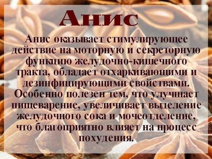 7310036_Anis (700x525, 113Kb)