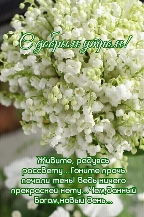 4743317_image20200519_06_19_27 (466x700, 240Kb)