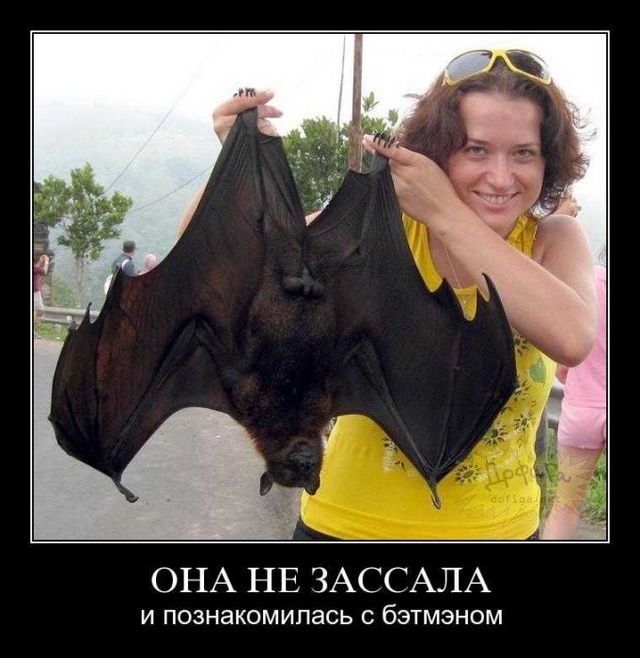 4743317_demotivatory_24 (640x658, 62Kb)