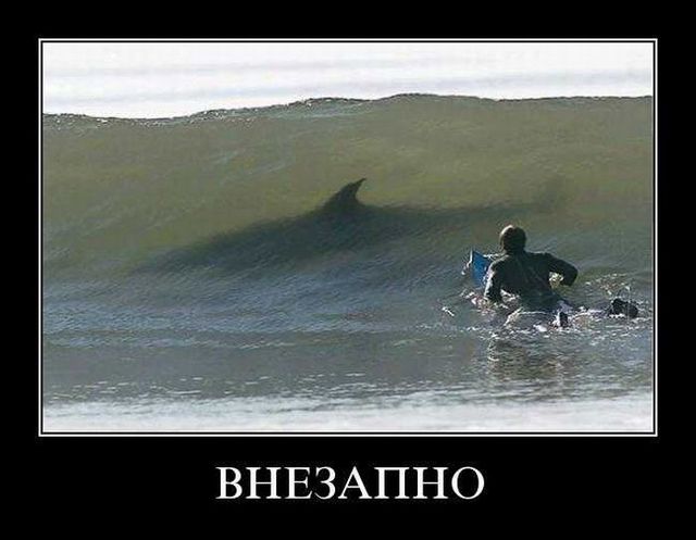 4743317_demotivatory_23 (640x497, 37Kb)