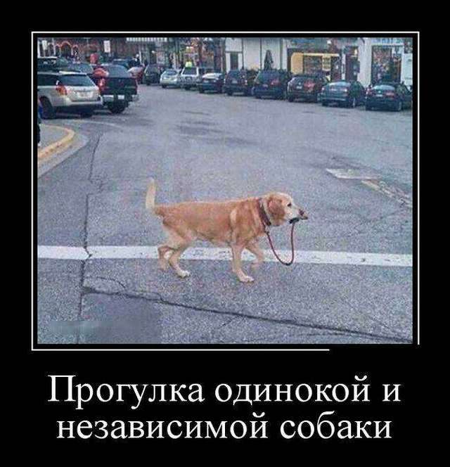 4743317_1442440397_20 (640x664, 50Kb)