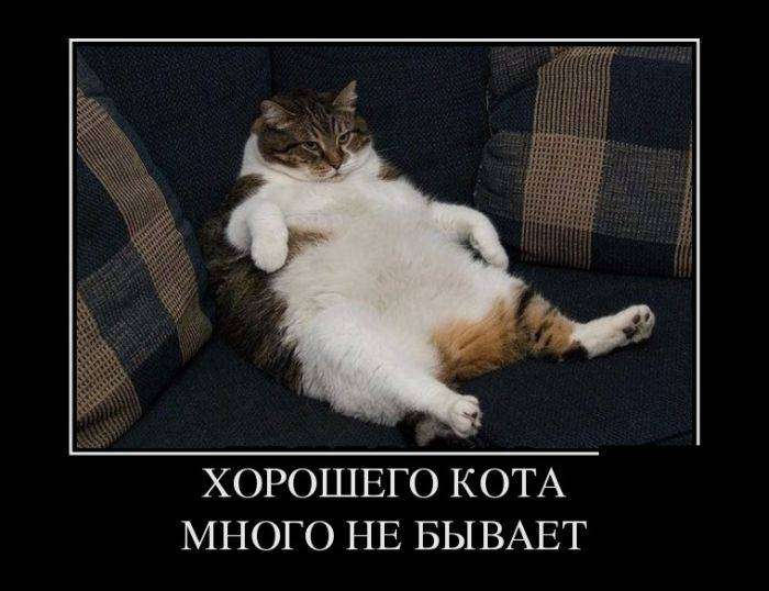 4743317_1442382315_22 (700x538, 41Kb)