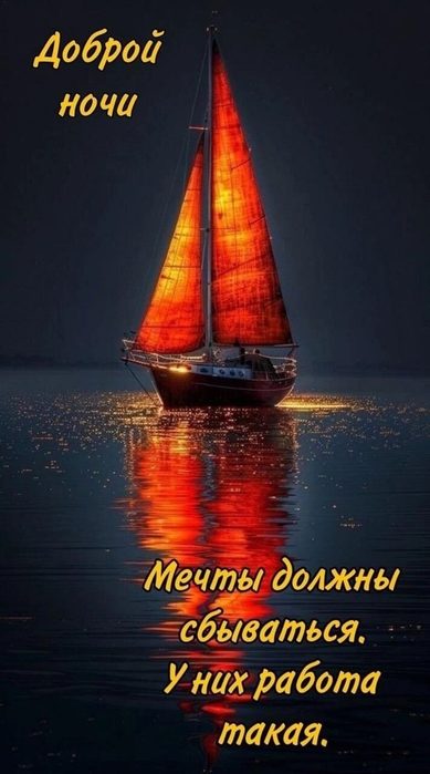 IMG_20250426_074106 (389x700, 43Kb)
