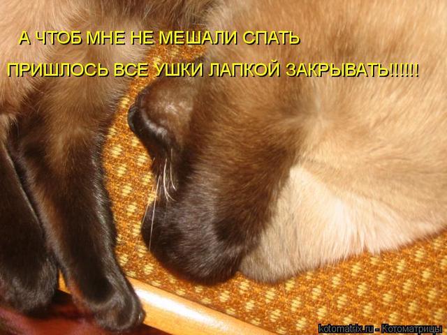 4743317__r (640x480, 57Kb)