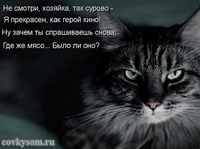 4743317_i24515 (640x479, 58Kb)