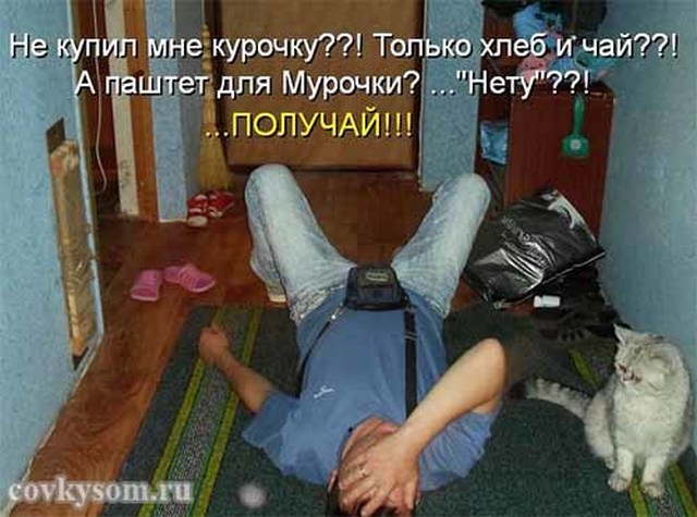 4743317_i24513 (640x475, 75Kb)