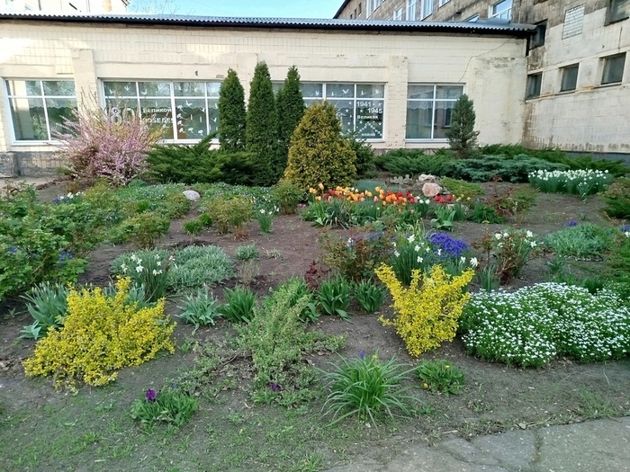 IMG_20250423_082848 (700x525, 245Kb)