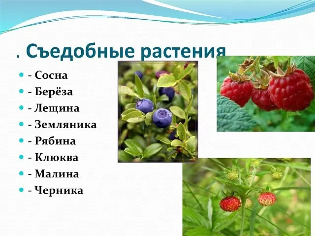 23 (640x479, 226Kb)