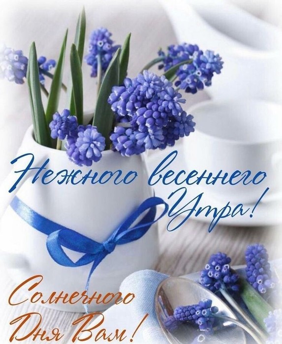 IMG_20250428_054001 (573x700, 98Kb)