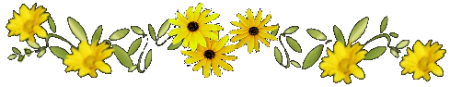 136948113_963 (450x87, 55Kb)