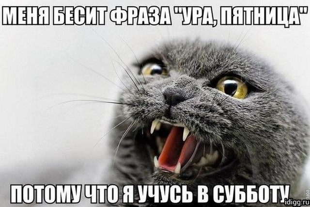 4743317_i24212 (640x427, 80Kb)