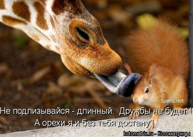 4743317_aa (640x453, 55Kb)