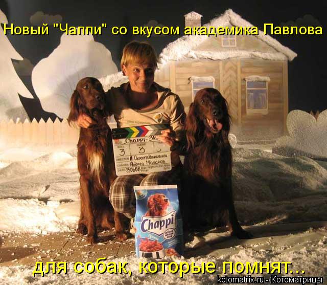 4743317_pl (640x557, 67Kb)