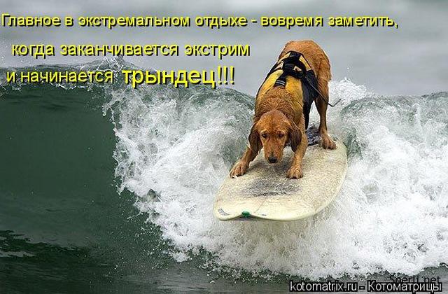 4743317_TU (640x420, 62Kb)