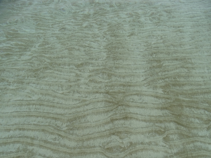 DSC00134 (700x525, 353Kb)