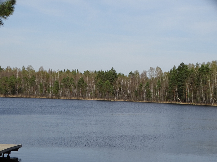 DSC00103 (700x525, 306Kb)