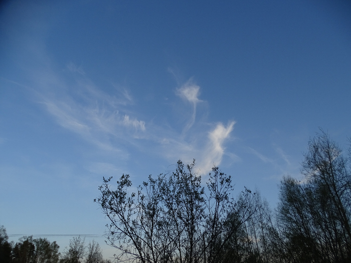 DSC00140 (700x525, 326Kb)