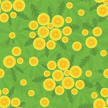 5642916_20_1_ (363x364, 20Kb)