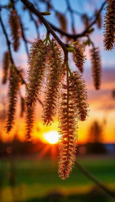 IMG_20250428_182201 (400x700, 56Kb)