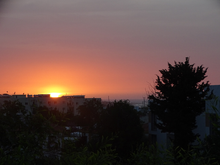 DSC00201 (700x525, 269Kb)