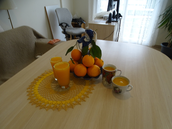 DSC00213 (700x525, 322Kb)