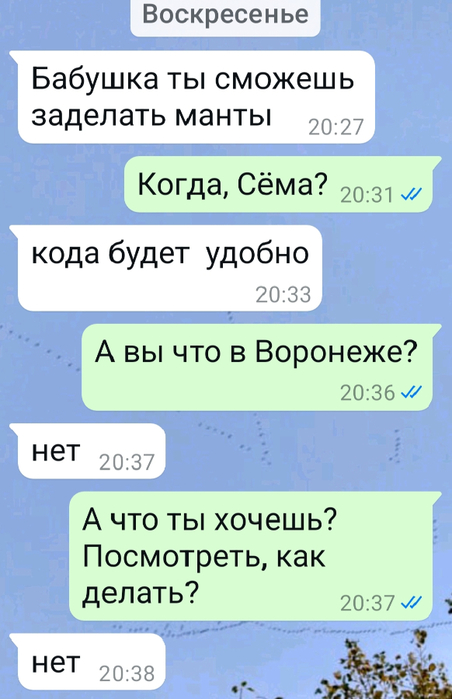 1745909480440 (452x700, 249Kb)