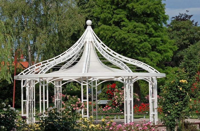 1024px-Rosarium_Uetersen_05 (900x658, 209Kb)