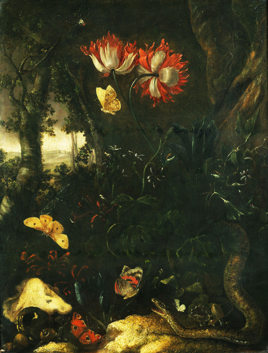 00 (531x700, 468Kb)