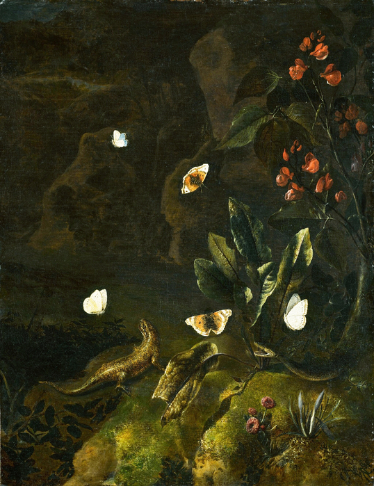 00 (538x700, 429Kb)