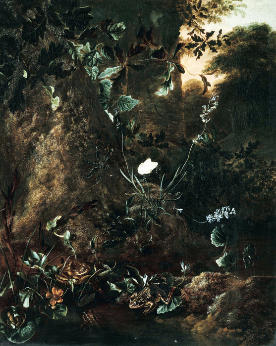 00 (557x700, 489Kb)