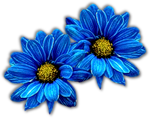 4674007_0_4ff00_f4e93fd1_S (150x118, 30Kb)