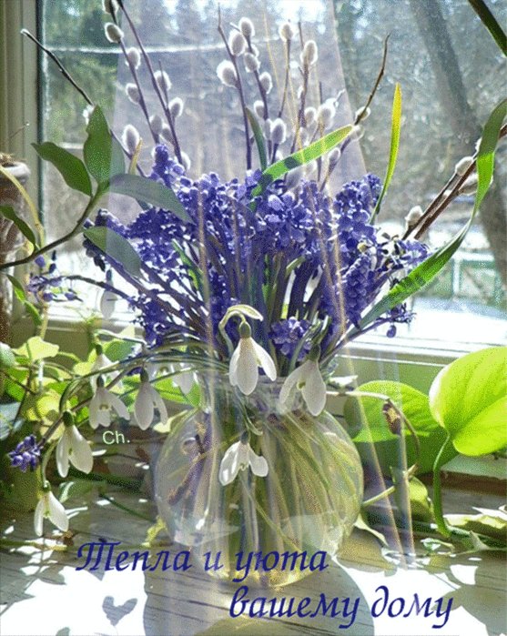 IMG_20250430_052831 (557x700, 8954Kb)
